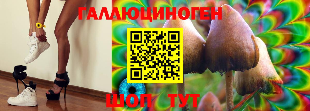 Псилоцибиновые грибы ЛСД Лянтор